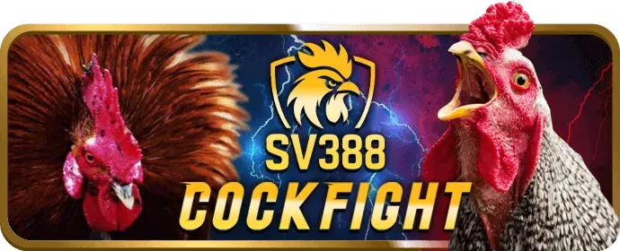 Trò chơi Sic Bo và Dragon Tiger tại 18win11